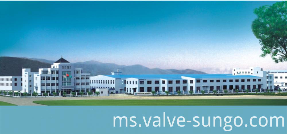 Duplex Stainless Steel Globe Valve Duplex Stainless Steel Globe Valve